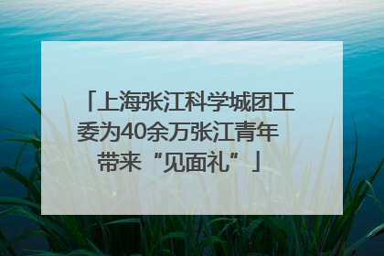 上海张江科学城团工委为40余万张江青年带来“见面礼”