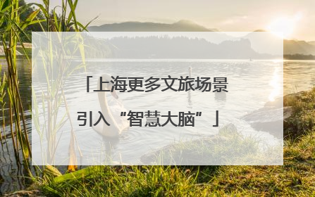 上海更多文旅场景引入“智慧大脑”