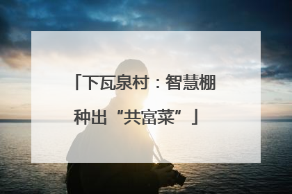 下瓦泉村：智慧棚种出“共富菜”