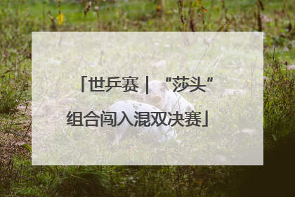 世乒赛｜“莎头”组合闯入混双决赛
