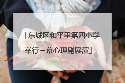 东城区和平里第四小学举行三幕心理剧展演