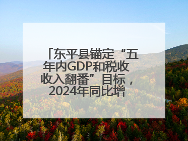 东平县锚定“五年内GDP和税收收入翻番”目标，2024年同比增长5.8%