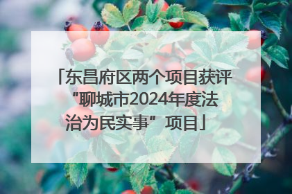 东昌府区两个项目获评“聊城市2024年度法治为民实事”项目