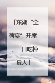 东湖“全荷宴”开席，一口吃掉夏天