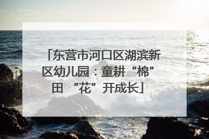 东营市河口区湖滨新区幼儿园：童耕“棉”田 “花”开成长