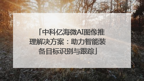 中科亿海微AI图像推理解决方案：助力智能装备目标识别与跟踪