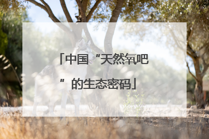 中国“天然氧吧”的生态密码