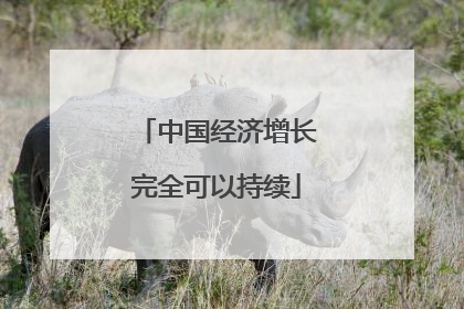 中国经济增长完全可以持续