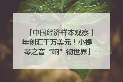 中国经济样本观察丨年创汇千万美元！小提琴之音“响”彻世界