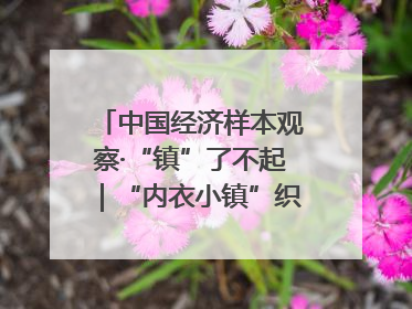 中国经济样本观察·“镇”了不起｜“内衣小镇”织出500亿元“里子产业”