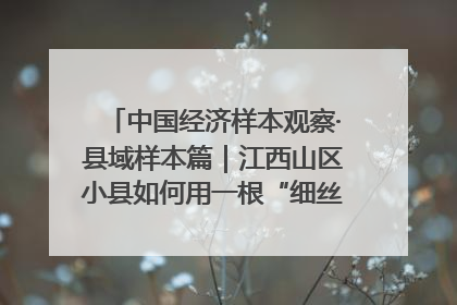 中国经济样本观察·县域样本篇｜江西山区小县如何用一根“细丝”拉出百亿级产业？
