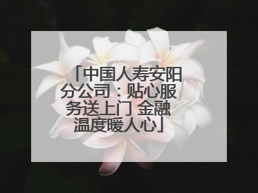 中国人寿安阳分公司：贴心服务送上门 金融温度暖人心