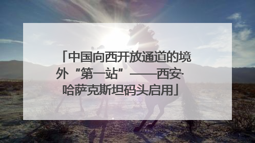 中国向西开放通道的境外“第一站”——西安·哈萨克斯坦码头启用
