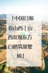 中国日报看山西｜山西发现东方白鹳筑巢繁殖