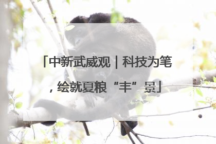 中新武威观｜科技为笔，绘就夏粮“丰”景