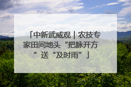 中新武威观｜农技专家田间地头“把脉开方”送“及时雨”
