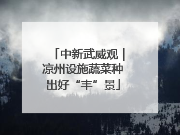 中新武威观｜凉州设施蔬菜种出好“丰”景