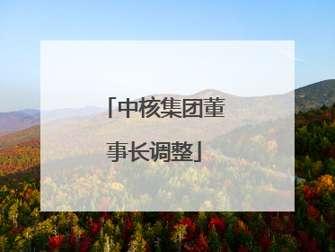 中核集团董事长调整