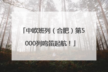 中欧班列（合肥）第5000列鸣笛起航！