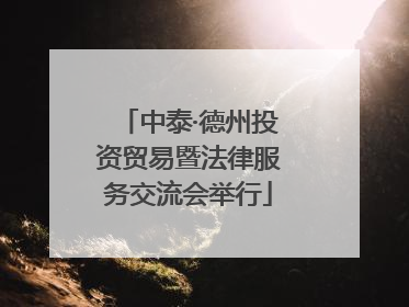中泰·德州投资贸易暨法律服务交流会举行