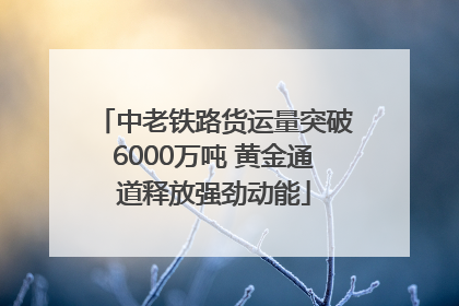 中老铁路货运量突破6000万吨 黄金通道释放强劲动能