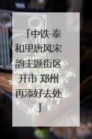 中铁·泰和里唐风宋韵主题街区开市 郑州再添好去处
