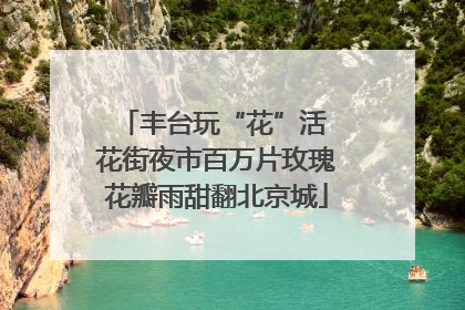 丰台玩“花”活 花街夜市百万片玫瑰花瓣雨甜翻北京城