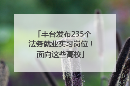 丰台发布235个法务就业实习岗位！面向这些高校