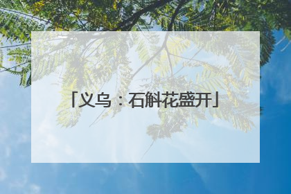 义乌：石斛花盛开