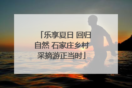乐享夏日 回归自然 石家庄乡村采摘游正当时