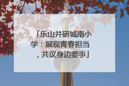 乐山井研城南小学：展现青春担当，共议身边要事
