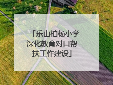 乐山柏杨小学深化教育对口帮扶工作建设