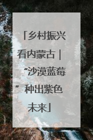 乡村振兴看内蒙古｜“沙漠蓝莓”种出紫色未来