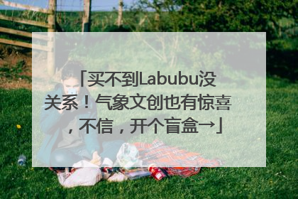 买不到Labubu没关系！气象文创也有惊喜，不信，开个盲盒→