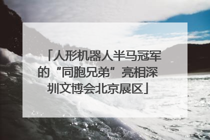 人形机器人半马冠军的“同胞兄弟”亮相深圳文博会北京展区