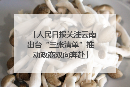 人民日报关注云南出台“三张清单”推动政商双向奔赴