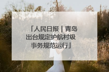 人民日报｜青岛出台规定护航村级事务规范运行