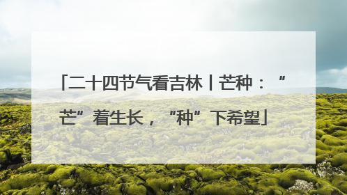 二十四节气看吉林丨芒种：“芒”着生长，“种”下希望