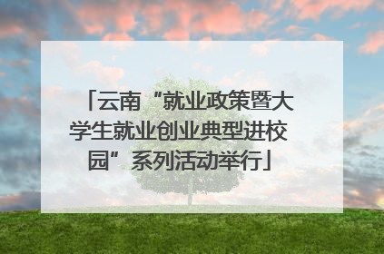 云南“就业政策暨大学生就业创业典型进校园”系列活动举行