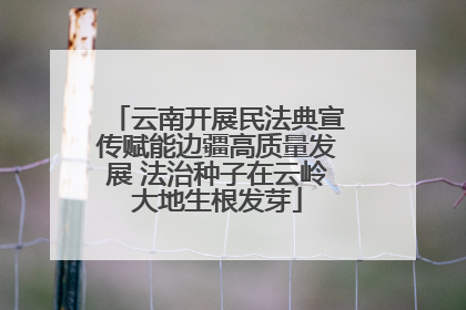 云南开展民法典宣传赋能边疆高质量发展 法治种子在云岭大地生根发芽