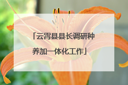 云霄县县长调研种养加一体化工作