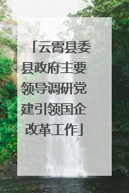 云霄县委县政府主要领导调研党建引领国企改革工作