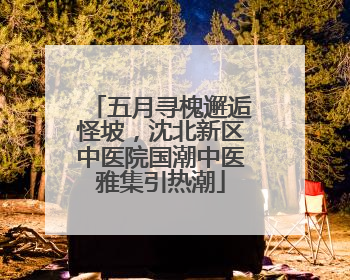 五月寻槐邂逅怪坡，沈北新区中医院国潮中医雅集引热潮