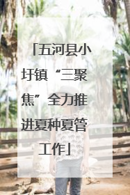 五河县小圩镇“三聚焦”全力推进夏种夏管工作
