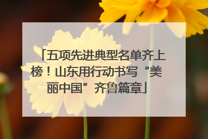 五项先进典型名单齐上榜！山东用行动书写“美丽中国”齐鲁篇章