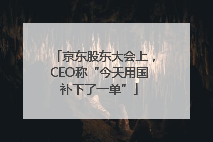 京东股东大会上，CEO称“今天用国补下了一单”