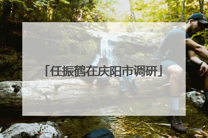 任振鹤在庆阳市调研