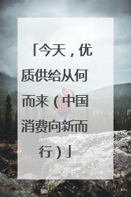 今天，优质供给从何而来（中国消费向新而行）