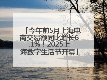 今年前5月上海电商交易额同比增长6.1%！2025上海数字生活节开幕