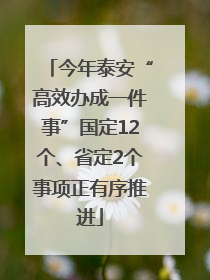今年泰安“高效办成一件事”国定12个、省定2个事项正有序推进